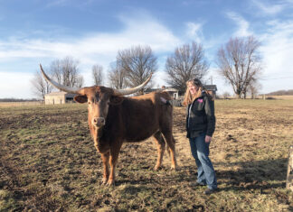 A Long Journey with Longhorn