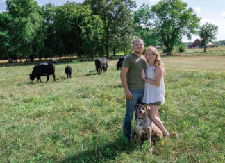 A Little Bit of Everything