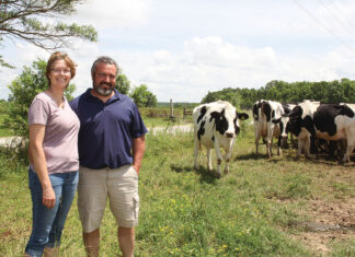 Striving for Excellence