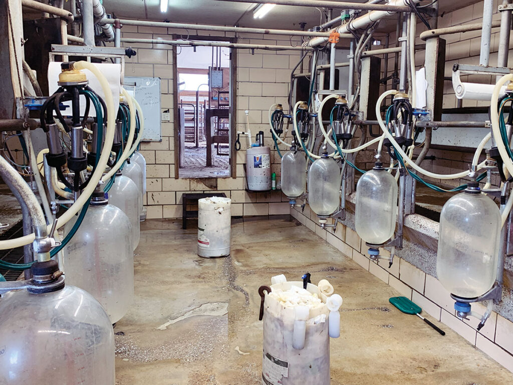 Inside milk barn at Valley View Farm