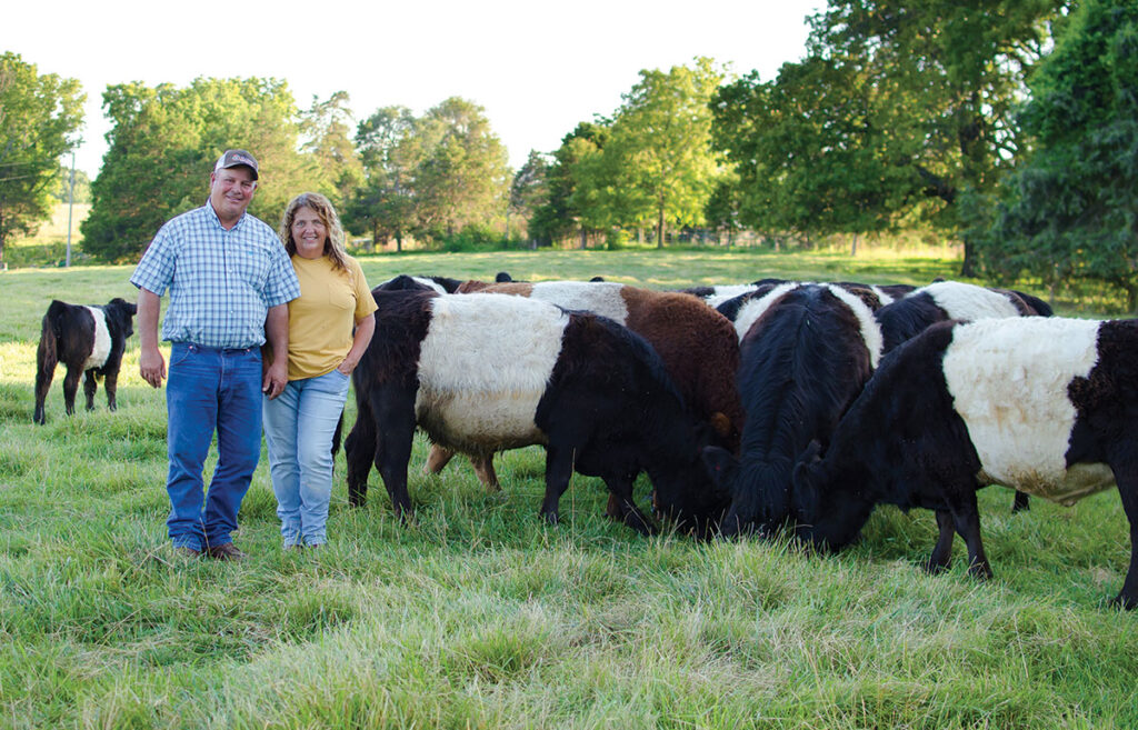 Loy and Mary Galloway have been raising Belted Galloway cattle for about two decades. Photo by Ashley Wilson.