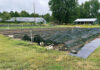 Small Acres, Big Market