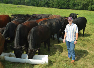 Emphasizing Sustainability