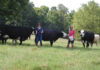 A Farm for the Generations