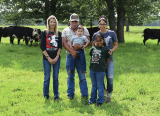 The Right Kind of Cow