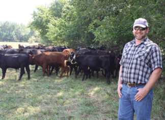 Building a New Program