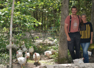 One Small Farm, Multiple Operations