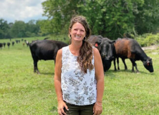 Coming Home to the Farm