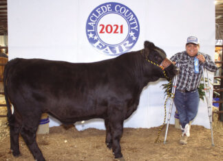 Perseverance and Determination