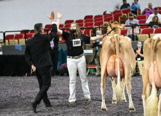 A Journey with Journey