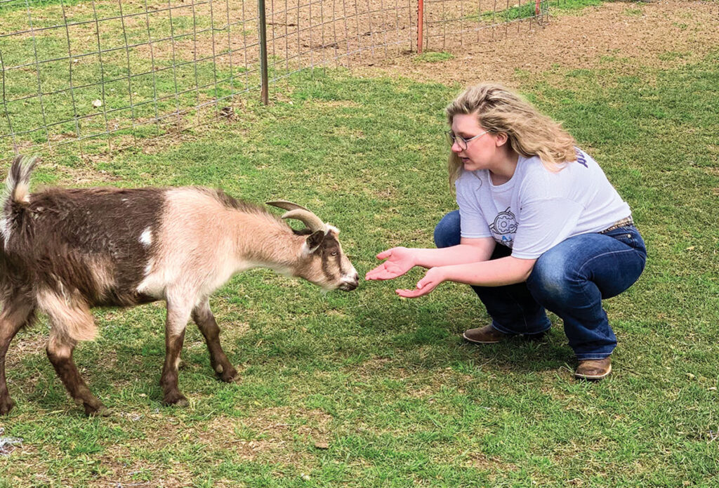 Caity reaching out to her goat. She is a sophomore at Carl Junction High School and is the FFA chapter sentinel. Photo by Rachel Harper.