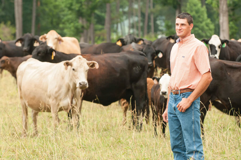 Matt Hoien, owner of Hoiens Farms Beef, with his cattle. Submitted Photo.