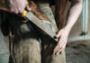 Good Hoof Care is Critical