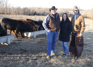 Building a Good Reputation