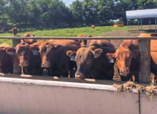 The Concrete Works, LLC