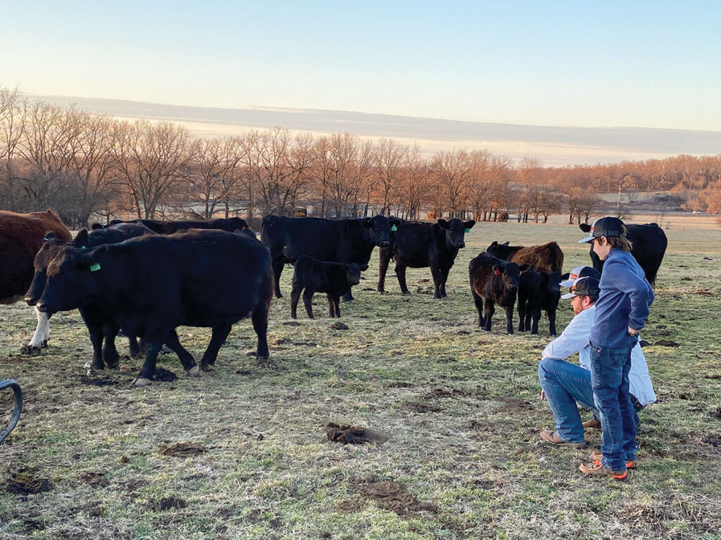 Eaves Simmental Farm has embraced technology with a new generation of cattlemen. Photo by Daniel Bereznicki.