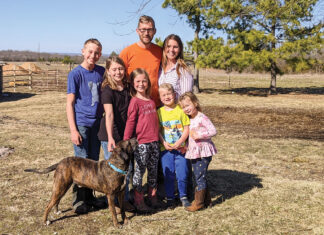 Making Their Way Back to the Farm