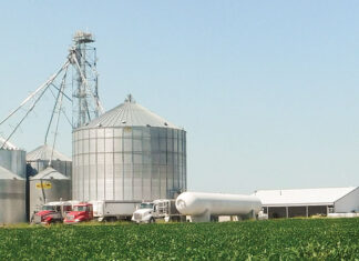 Destined to Become a Farmer