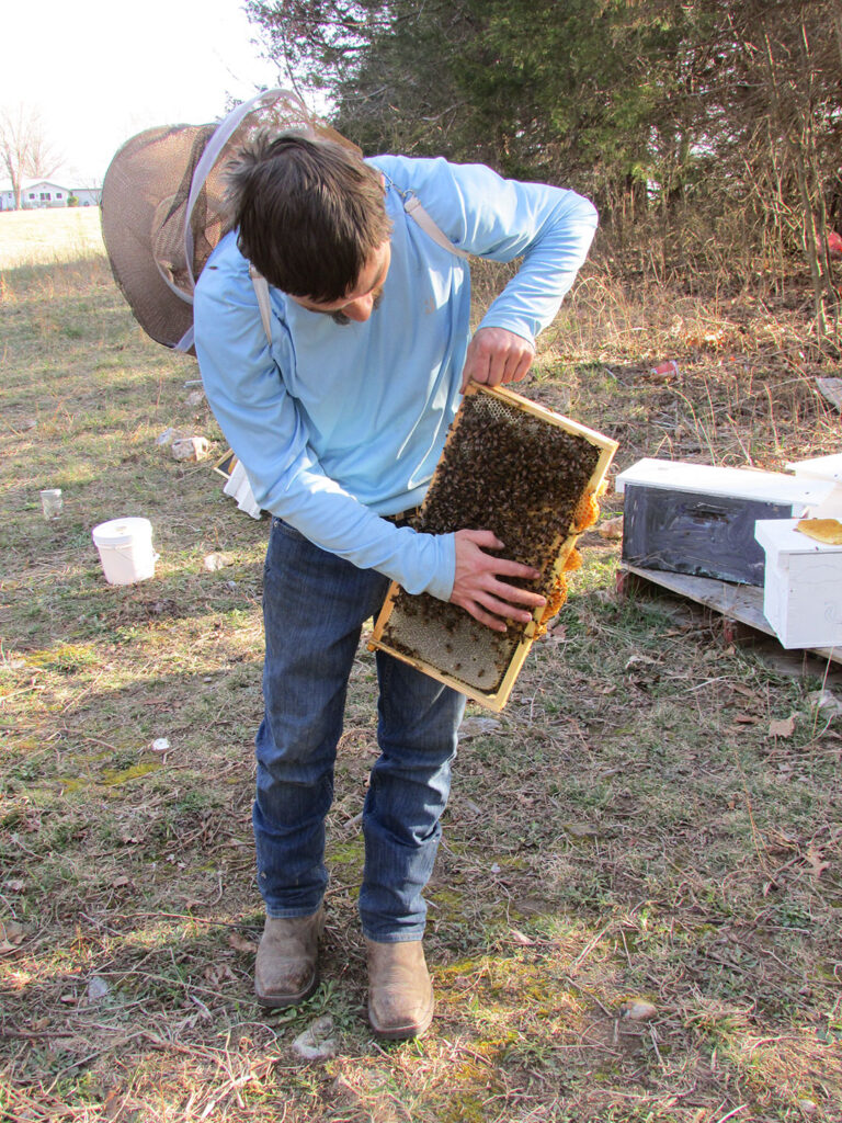 Checking bees. Submitted Photo. 