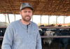 Feeding The Local Beef Economy