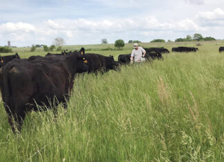 Working to Improve the Soil