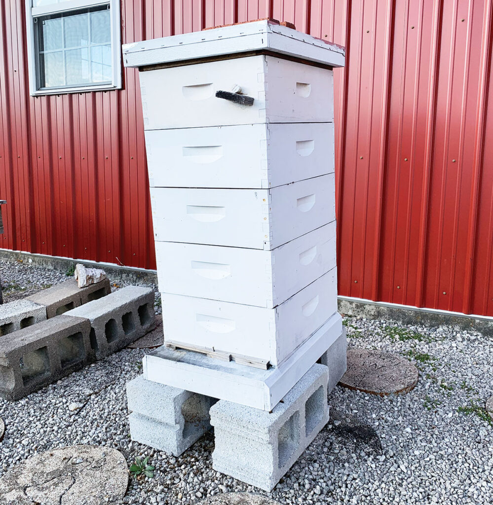 Bee hive. Mac Bobbitt recently finished teaching a beekeeping class at the University of Missouri Extension Office in Lebanon, Missouri. Photo by Amanda Bradley. 