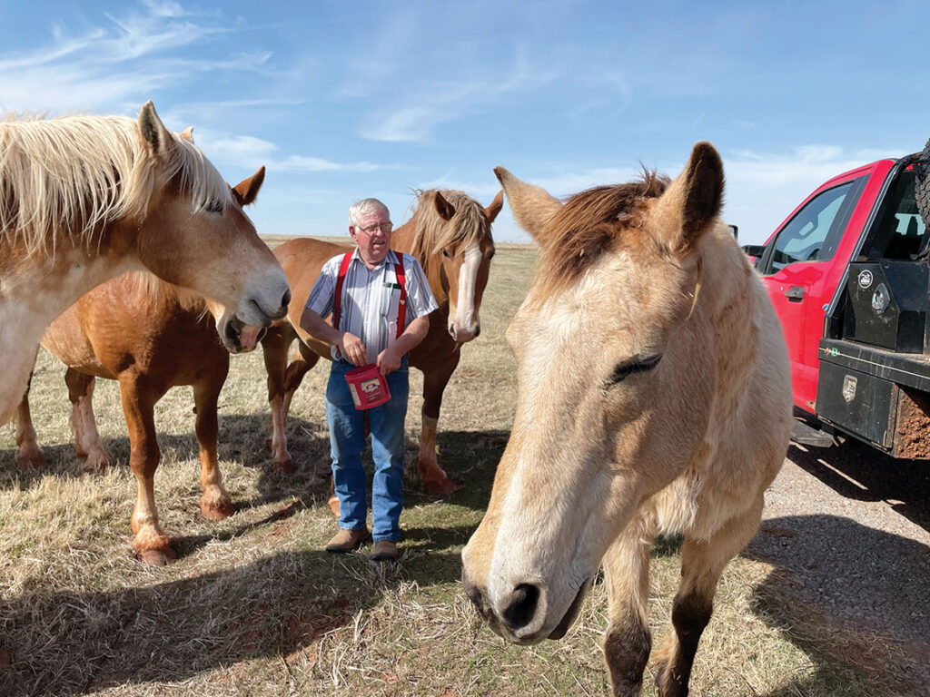 Rodney has about 100 head of cattle and several horses and continues farming with his wife Mary. Photo by Kacey Frederick. 