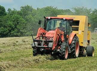 Drawn to Farming for a Stable Future
