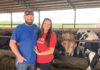Efficient Dairy Farming