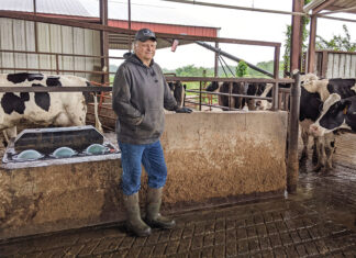 Expanding Through Generations