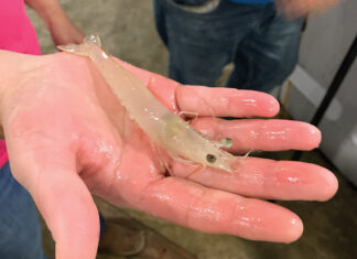 Changing the Family Farm