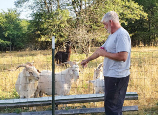 Striving for Perfection