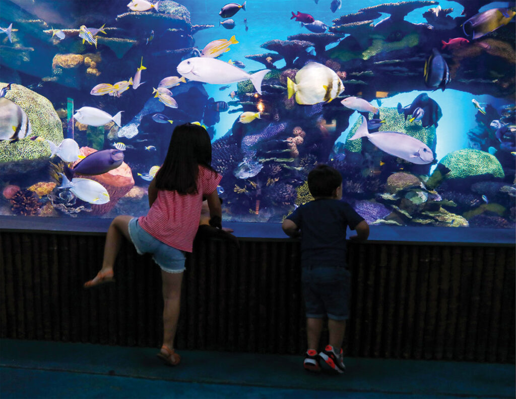 Two kids watching a school of fish at the Oklahoma Aquarium in Jenks, Oklahoma. Submitted Photo.
