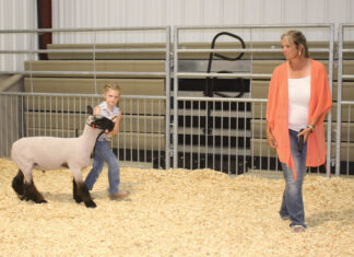 Growing in Agriculture