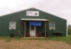A New Endeavor at the Marble Sale Barn
