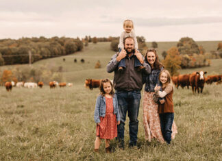 Building A Quality Wagyu Herd