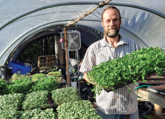 Harmony Farms Finds a New Market