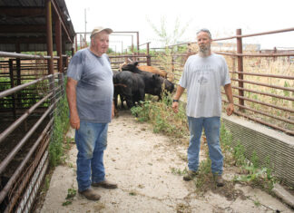 A Lifetime in the Industry