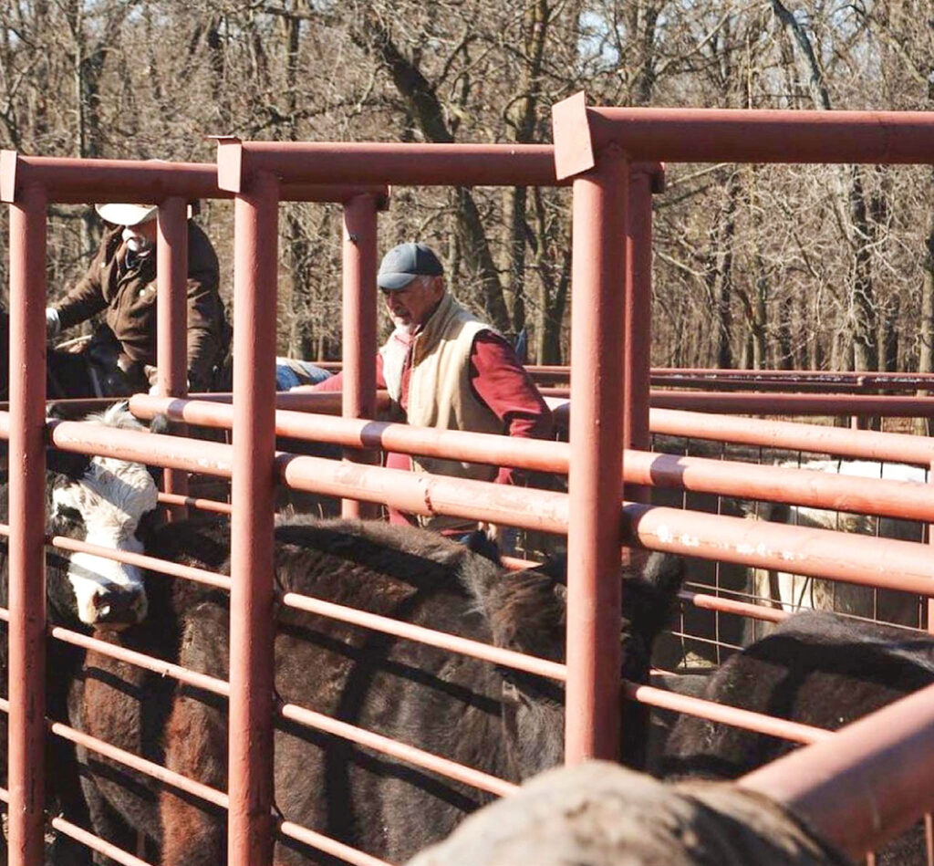 Working the cattle at Circle R Farms Cattle Company. Submitted Photo. 