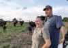 Breeding Better Bison