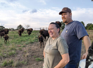Breeding Better Bison