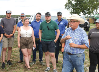 International Appeal