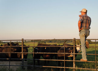 One Season at a Time