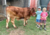The Future of Agriculture