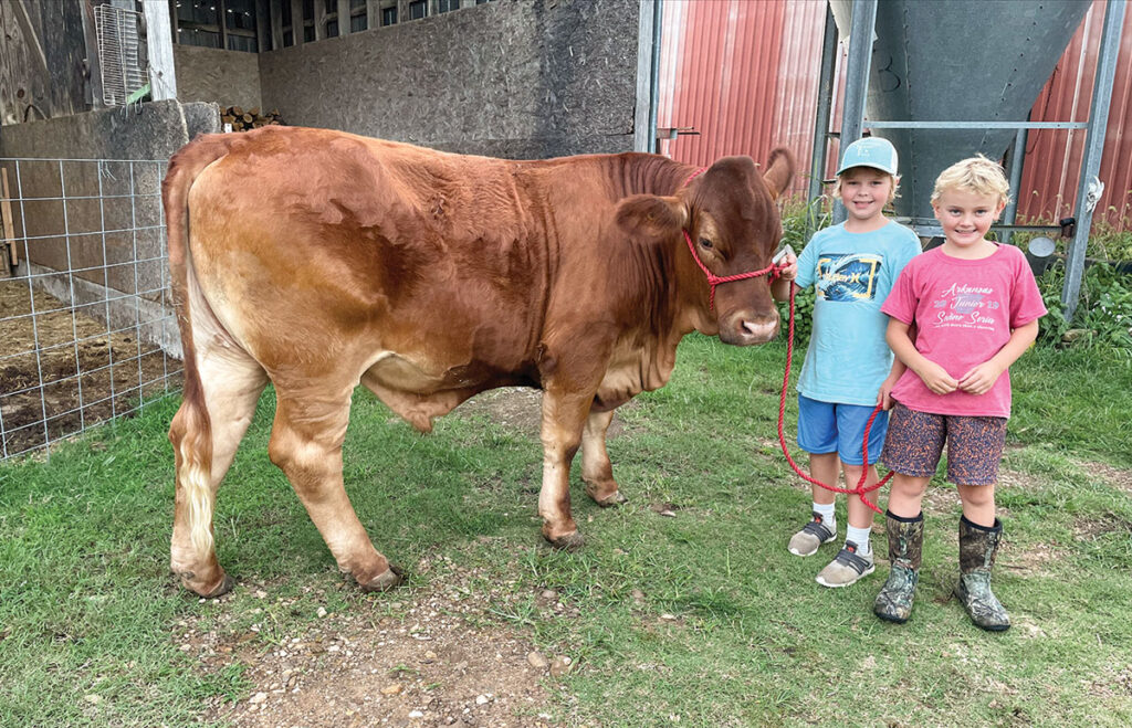 Brothers Ty and Brody Hawkins are fourth-generation cattle producers. They are pictured with their show steer, Leroy. Photo by Mandy Villines.