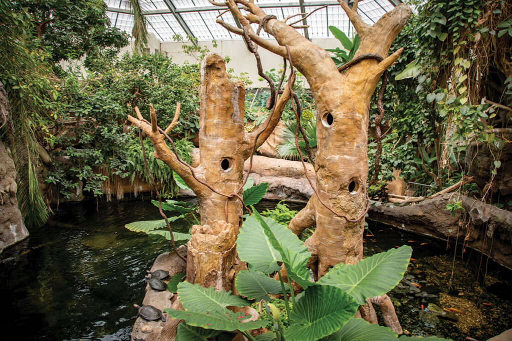 Tropical Rainforest Exhibit. Photo courtesy of the Tulsa Zoo. 