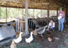 Finally Farmers