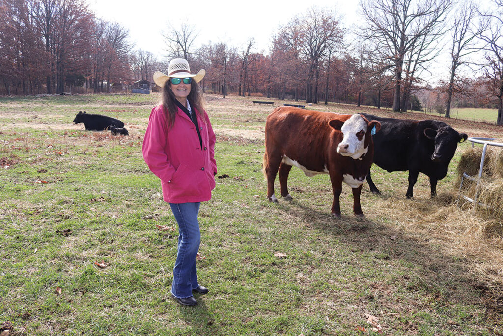 Linda Sansom with her and her husband Richard's Limousin herd.  Photo by Julie Turner-Crawford. 