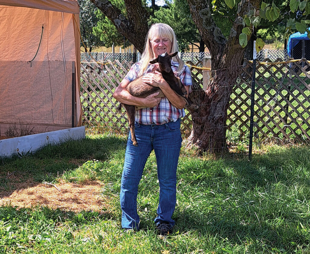 Paula Van Aken of Mountain Grove, Missouri is the office manager of Country Mart. With her daughter Kristina Van Aken they raise Nigerian Dwarf goats. Photo by Eileen Manella. 
