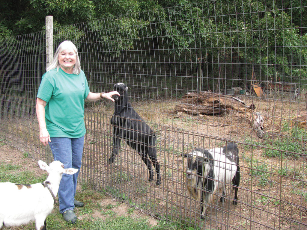 Susan Clark has been breeding dairy goats for 10 years. She has also developed her own line of goat milk soaps and lotions. Photo by Julie Turner-Crawford. 